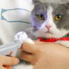 Pet Nail Clipper Scissors for Cat Dog