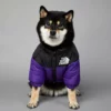 Dog Jacket 8