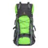 Flamehorse Backpack Green